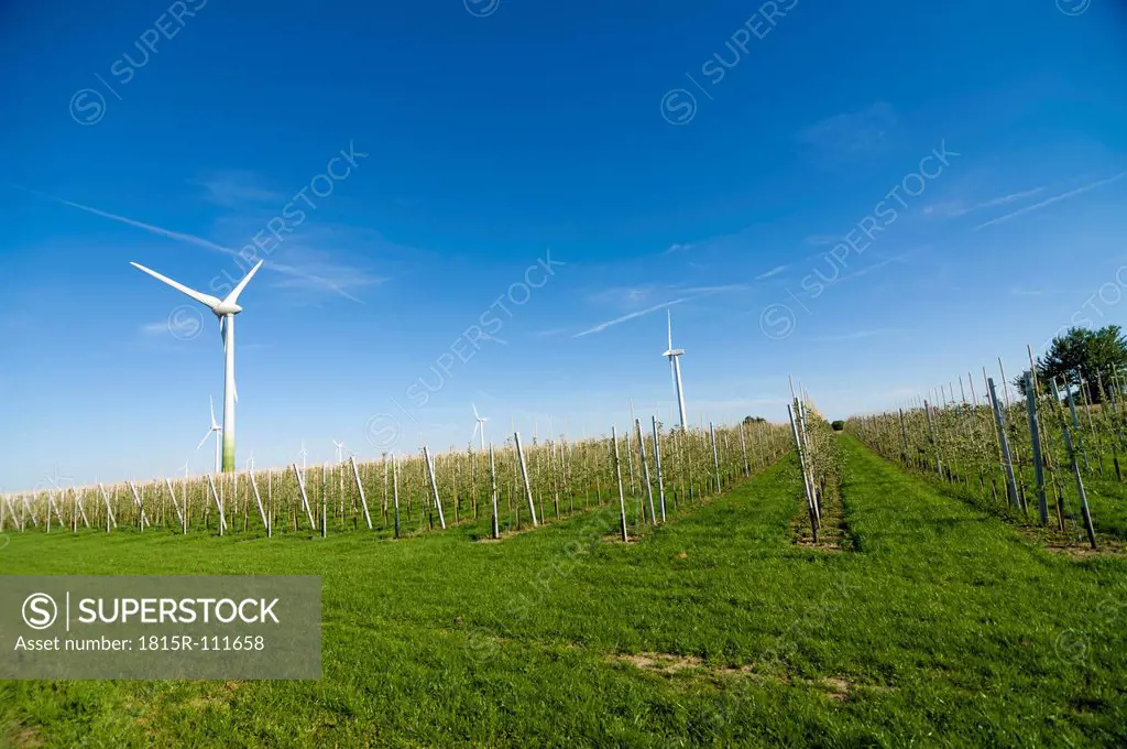 Germany, Saxony, View of wind turbine in apple farm