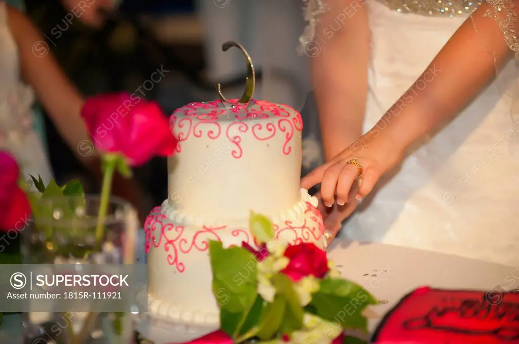 USA, Texas, Young bride cutting wedding cake