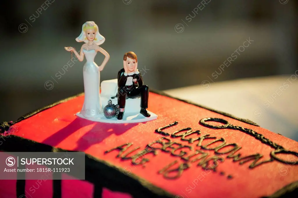 USA, Texas, Close up of humurous wedding cake