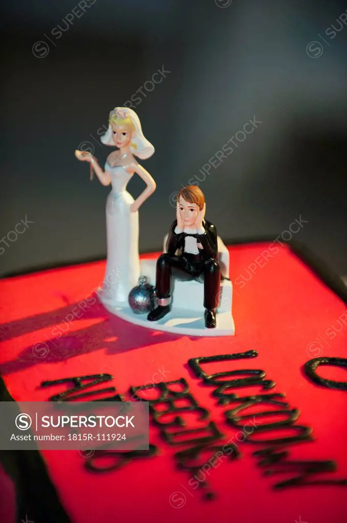 USA, Texas, Close up of humurous wedding cake