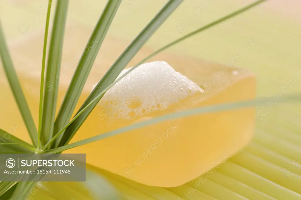Close up of soap and cypress grass