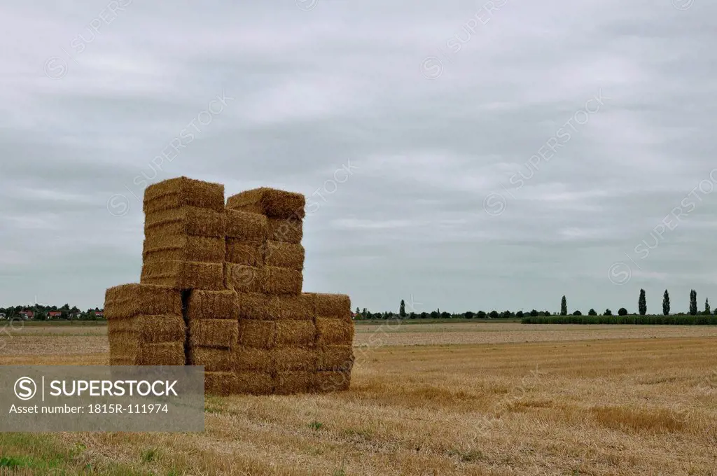 Germany, Bavaria, View of filed with hay bales