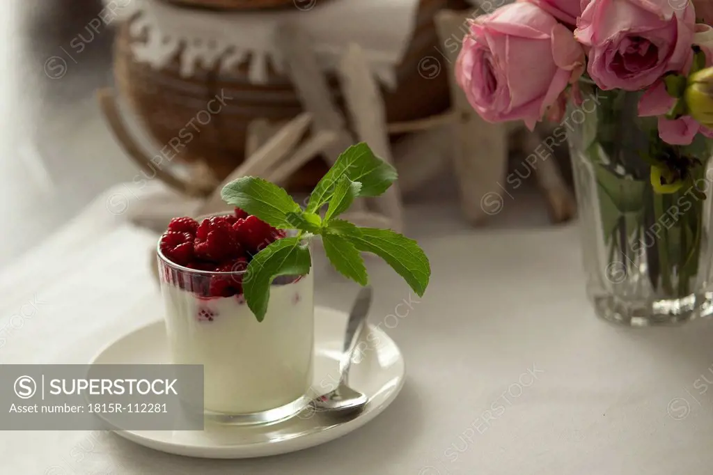 Glass of cream with raspberry and stevia, close up