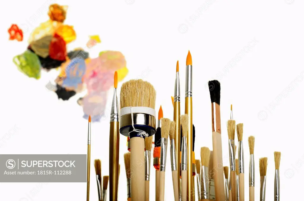 Variety of paint brushes against white background, close up