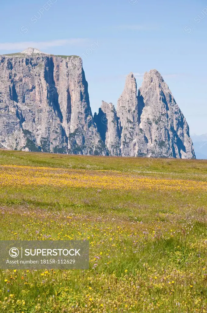 Italy, Alpine meadow towards Schlern and Santner Spitze mountains at South Tyrol