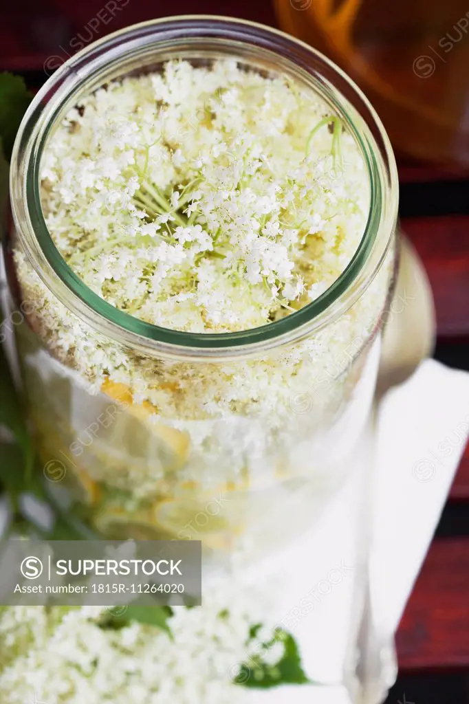 White elderflowers and lemon in glass bowl, edible flowers, European Black Elder (Sambucus nigra), making of elder sirup