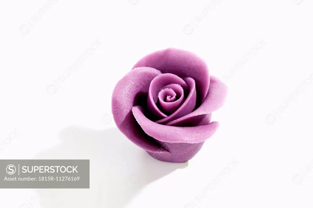 Purple marzipan blossom on white background