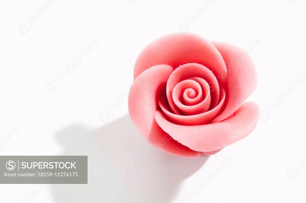 Pink marzipan blossom on white background