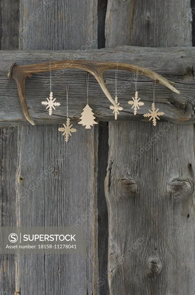 Deer antler and Christmas decoration on wooden wall