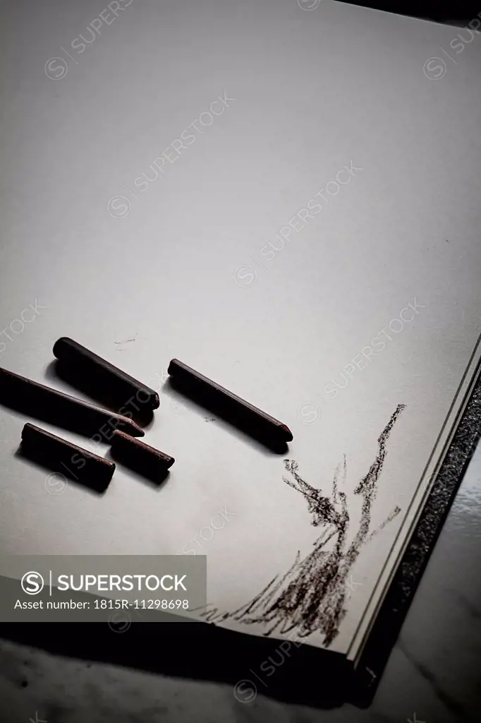 Sepia sticks on sketchbook