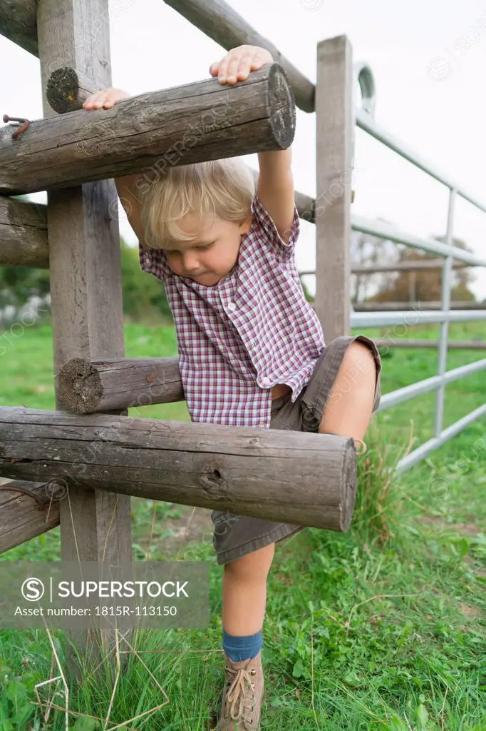Germany, Munich, Boy climbing wooden fence in children´s camp