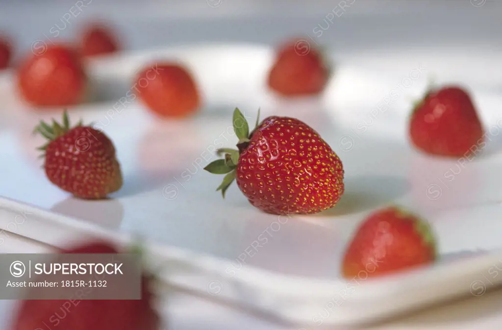 Strawberries in tray in a row