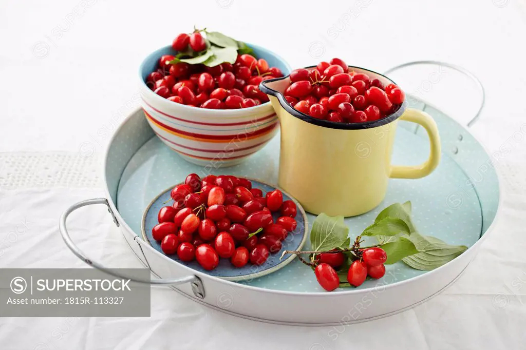 Cornel cherries in containers on tray