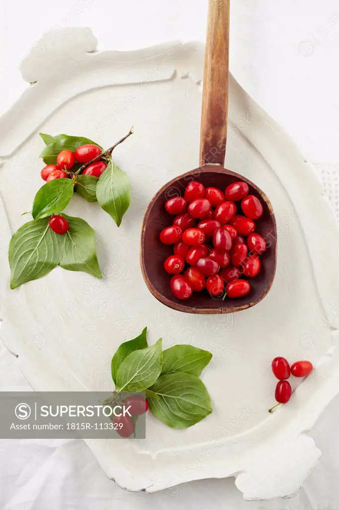 Cornel cherries in wooden spoon on tray