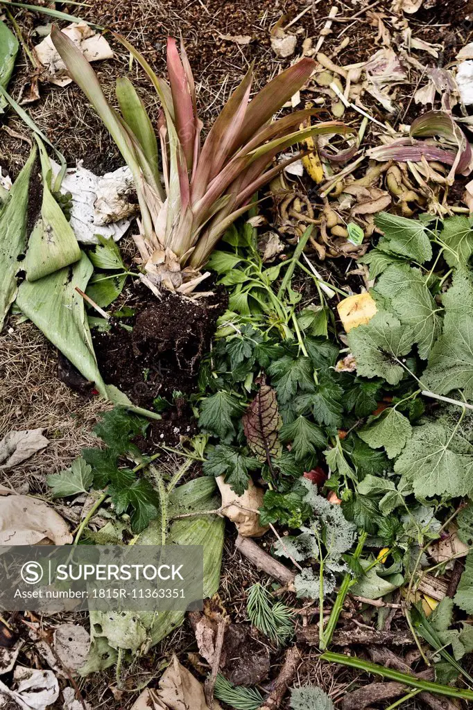 Compost with bio waste for composting