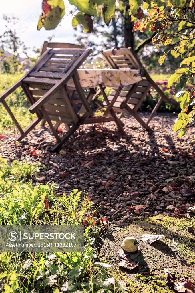 Germany, Bavaria, Coburg, View of garden with table and chairs in autumn
