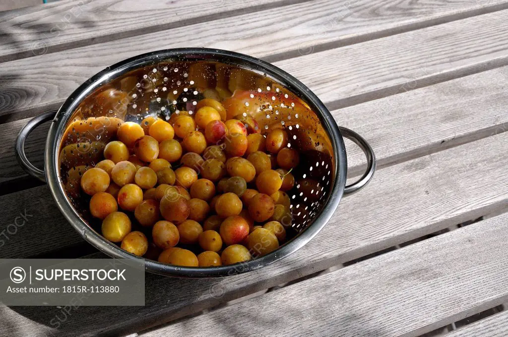 Germany, Baden Wuerttemberg, Yellow plums in colander on wooden table
