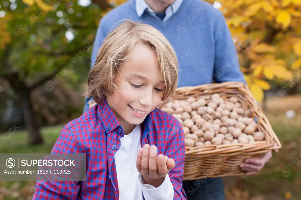 Germany, Leipzig, Father and son collecting walnuts