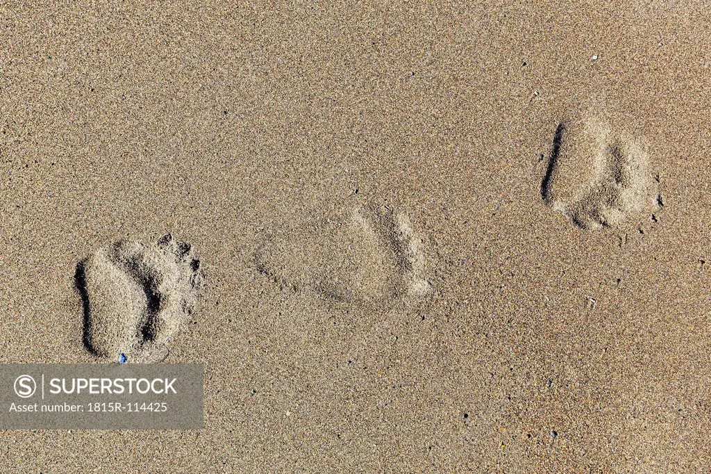 USA, Alaska, Bear tracks on sand at Lake Clark National Park and Preserve