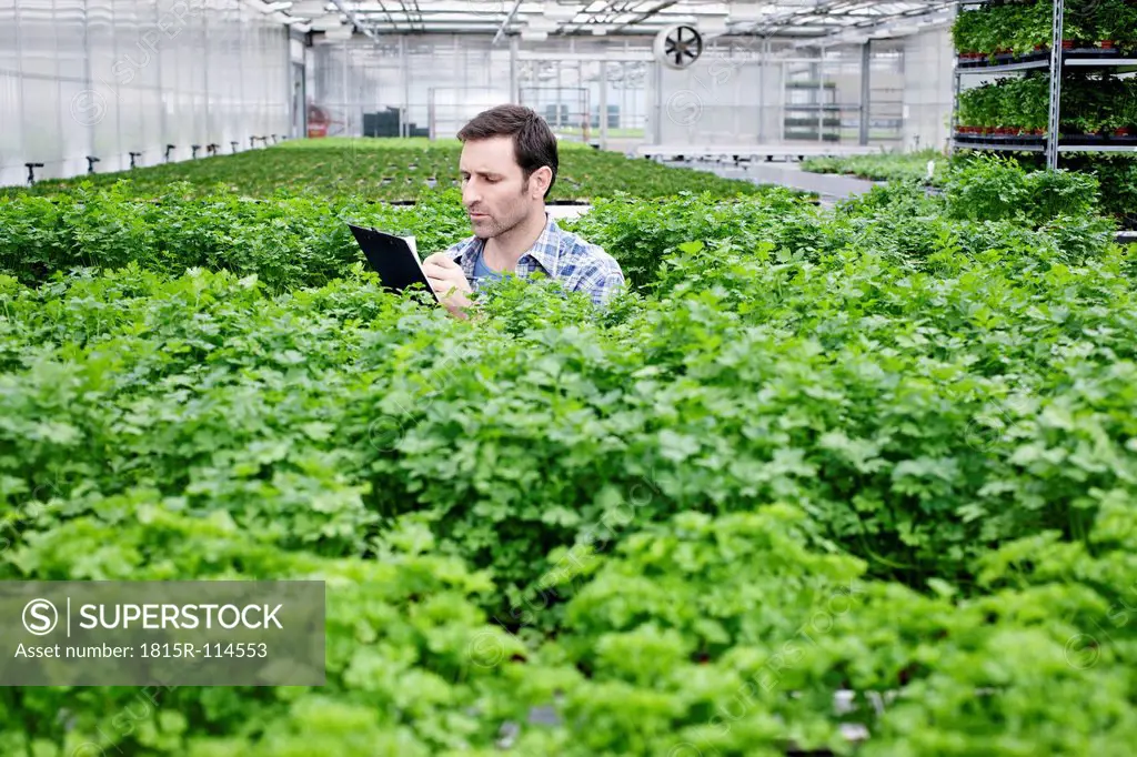 Germany, Bavaria, Munich, Mature man in greenhouse between parlsey plants with clip board