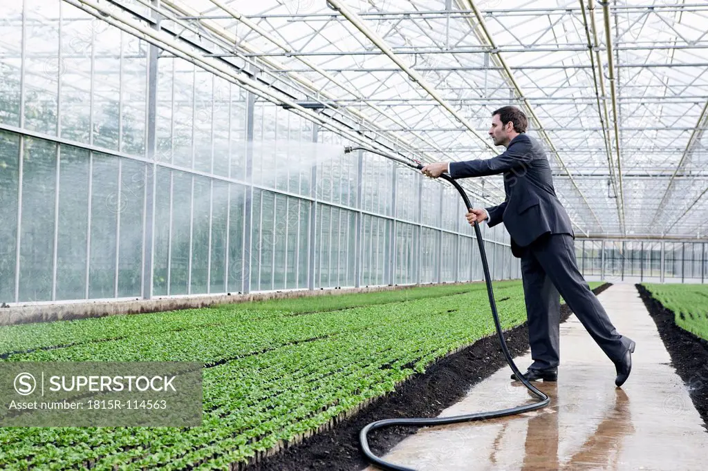 Germany, Bavaria, Munich, Mature man in greenhouse watering seedlings