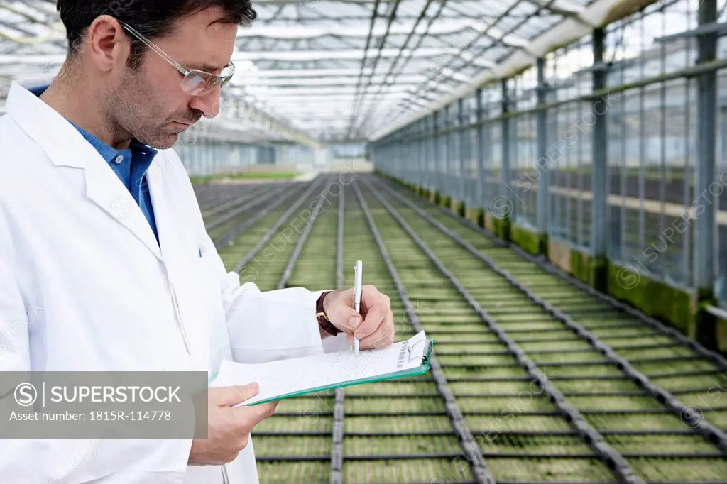 Germany, Bavaria, Munich, Scientist in greenhouse examining bed with seedlings