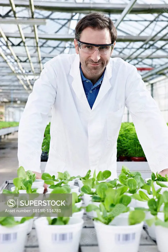 Germany, Bavaria, Munich, Scientist in greenhouse with corn salad plants