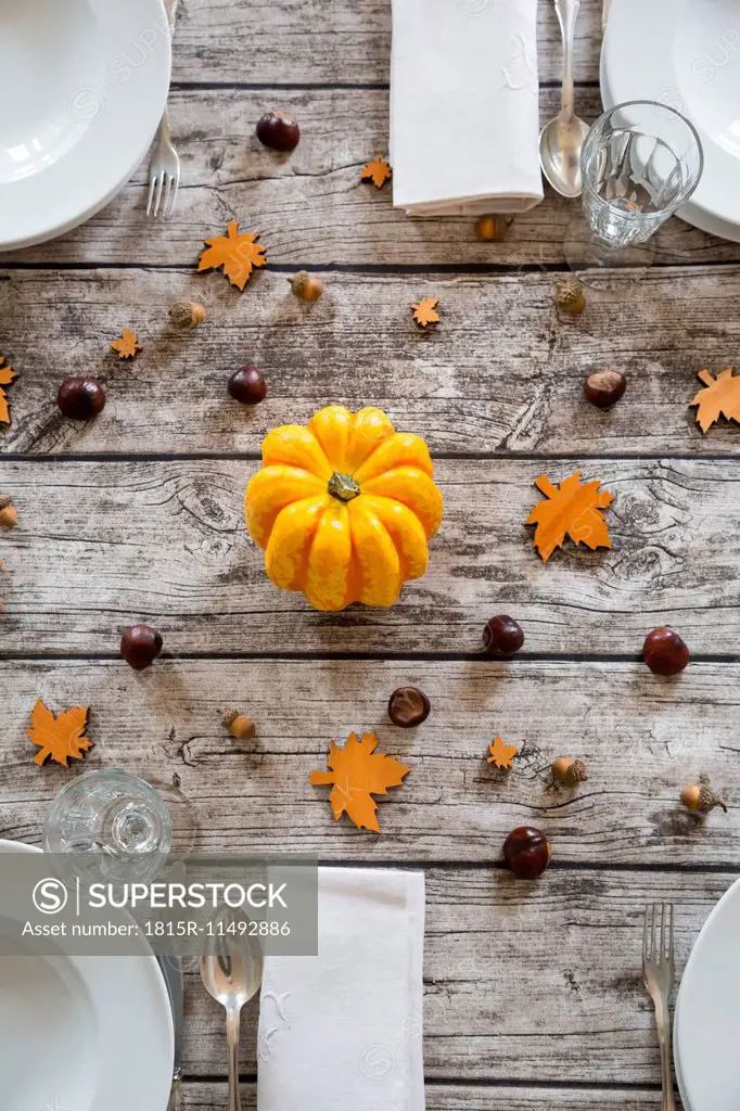 Autumnal laid table with yellow pumpkin, chestnuts and acorns