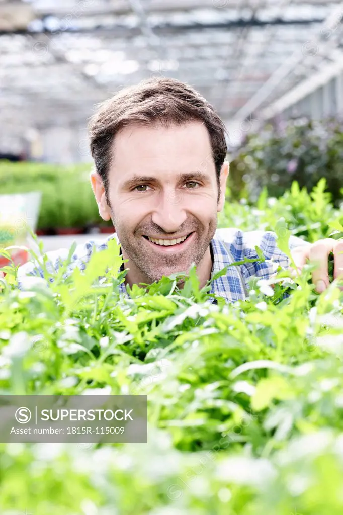 Germany, Bavaria, Munich, Mature man in greenhouse with rocket plants