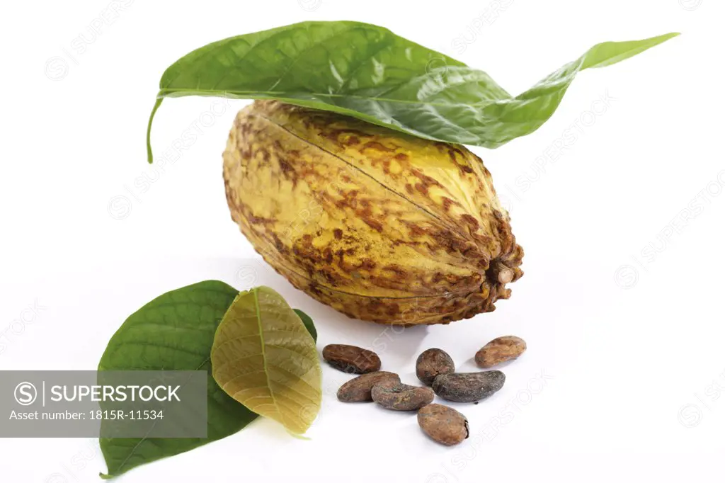 Cacao plant, hull and beans