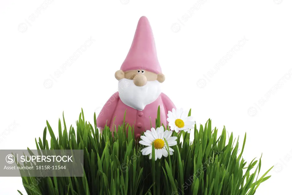 Garden gnome, grass in foreground