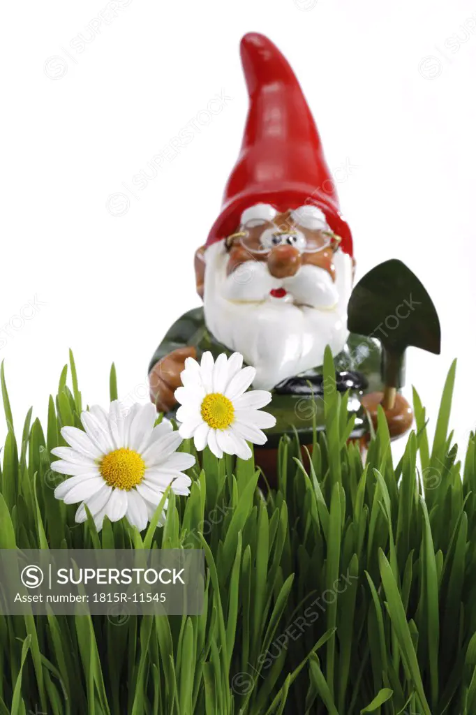 Garden gnome with spade, grass in foreground