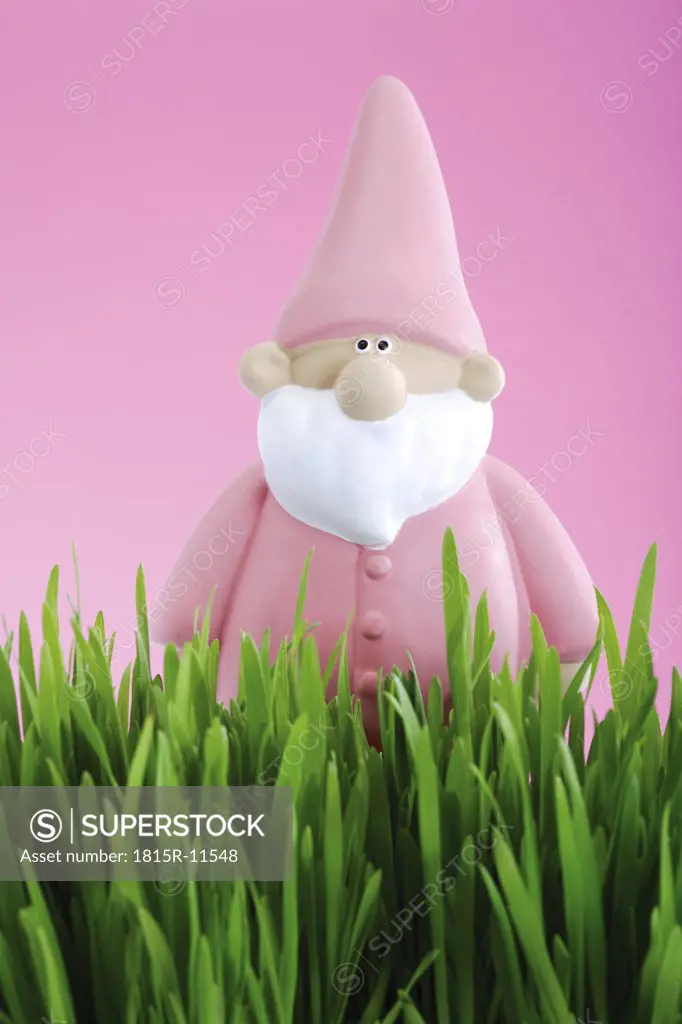 Pink garden gnome