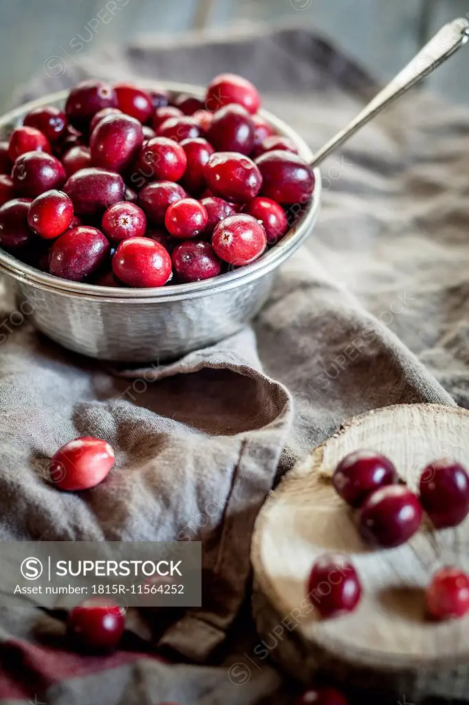 Metal bowl of cranberries, Vaccinium macrocarpon, on kitchen towel