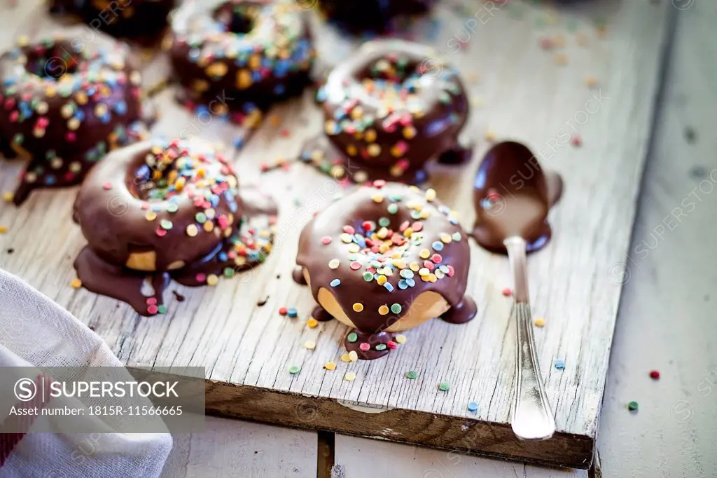 Chocolate covered donuts with sugar sprinkles, studio