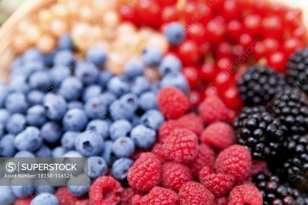 Germany, Bavaria, Close up of various berries