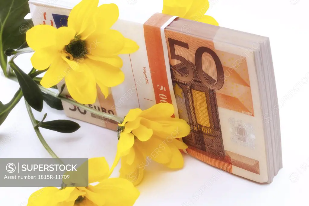 Euro banknote and yellow flower, close-up