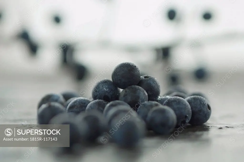 Blackthorn berries, close up
