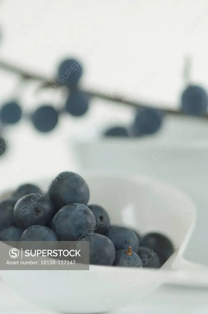 Blackthorn berries in bowl, close up