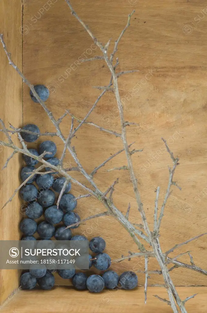 Blackthorn berries in wooden box