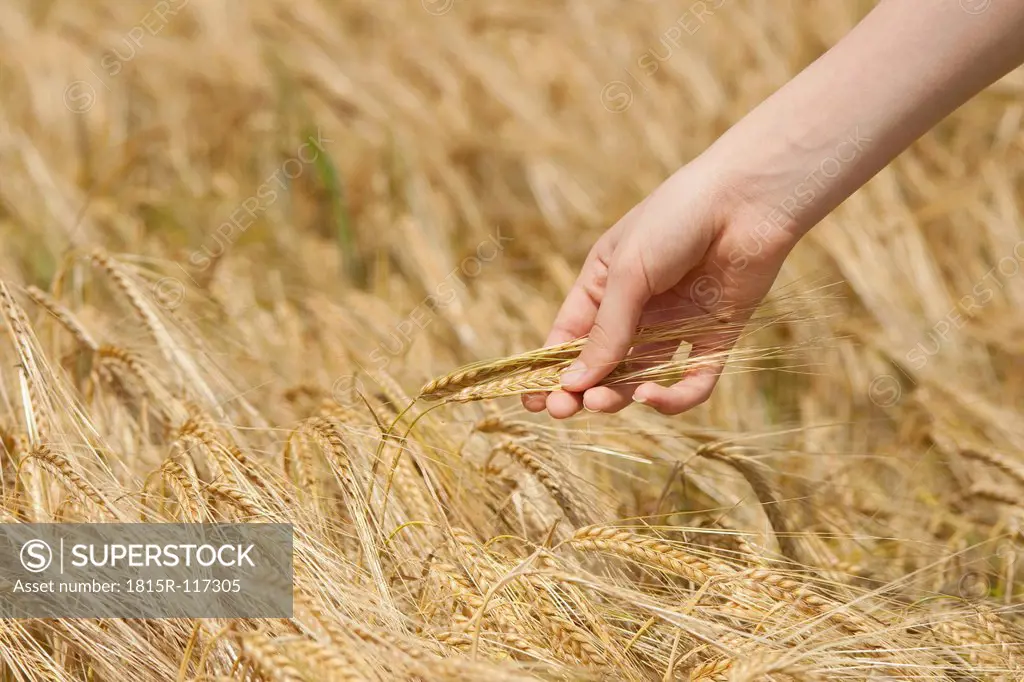 Germany, Hand of teenage girl touching barley in field