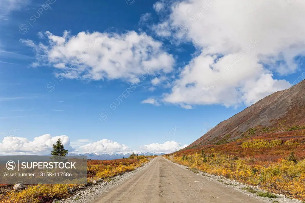 USA, Alaska, View of Denali Highway in autumn