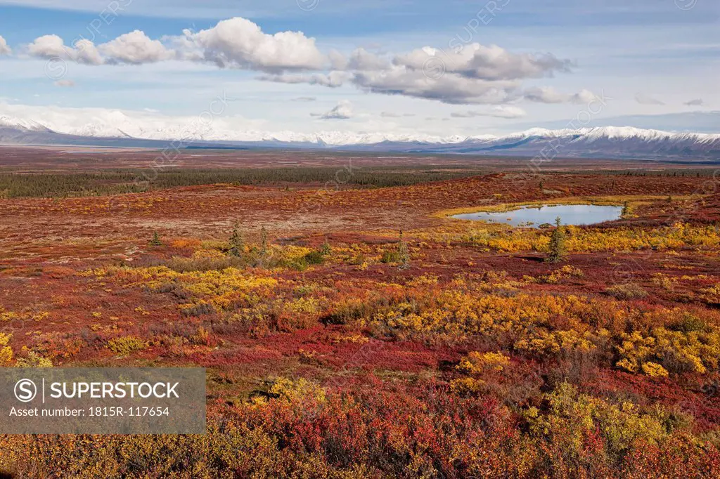 USA, Alaska, View of landscape in autumn, Alaska Range in background