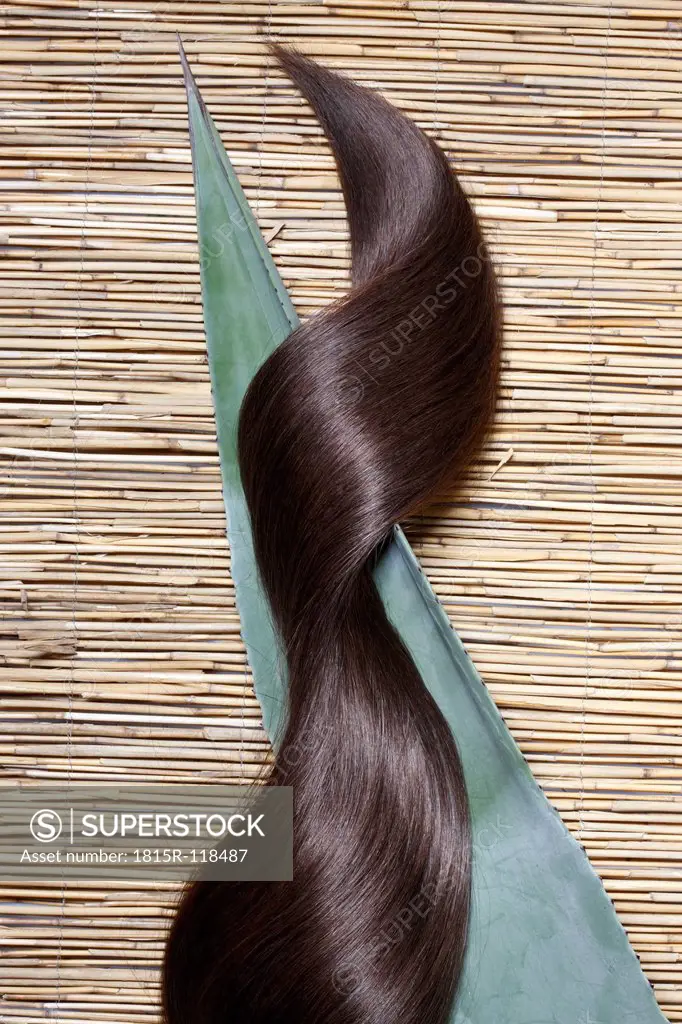 Close up of brown hair with aloe vera on straw mat