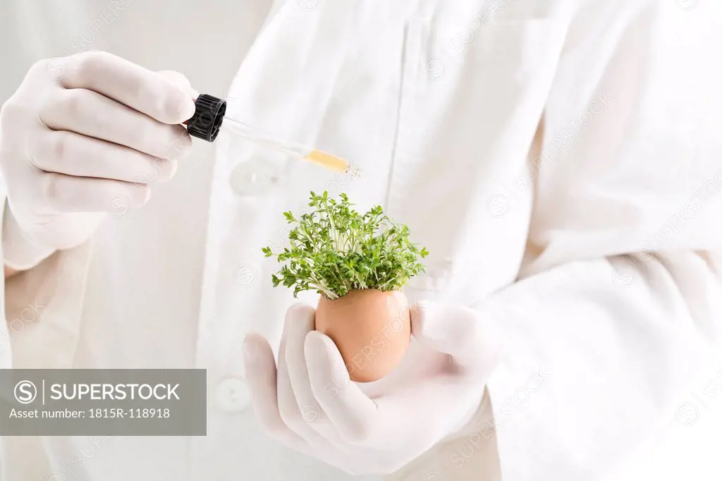 Scientist adding chemical from pipette on cress in egg shell, close up