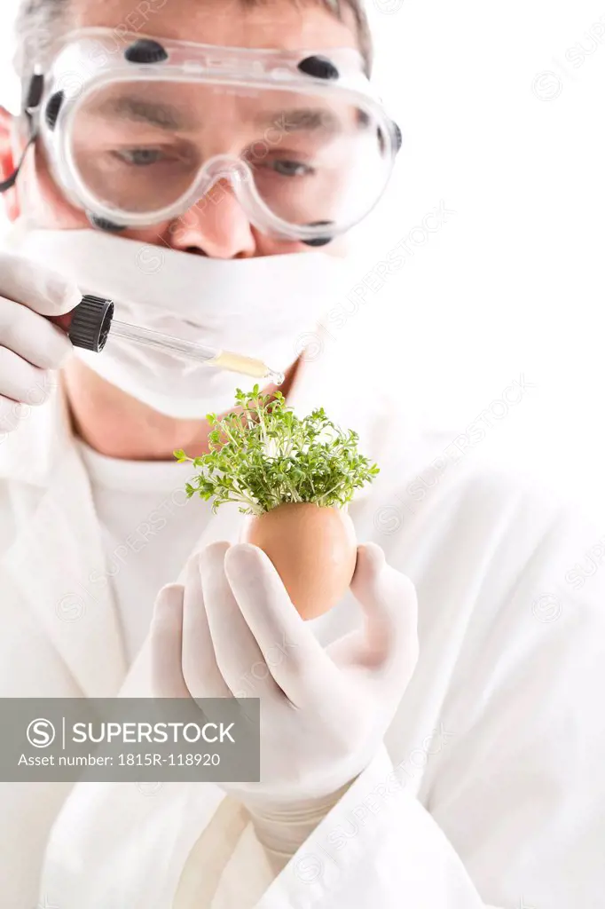 Scientist adding chemical from pipette on cress in egg shell, close up