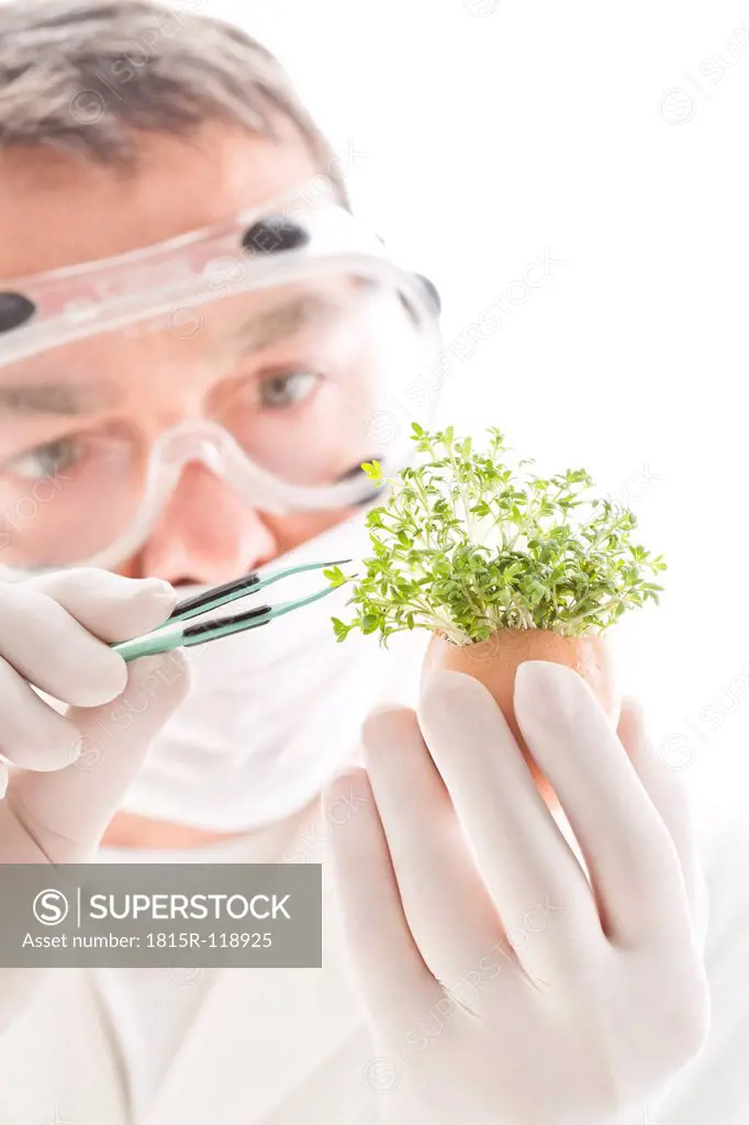 Scientist removing cress with tweezers from egg shell, close up