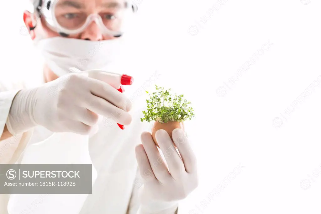 Scientist spraying chemical on cress in egg shell, close up