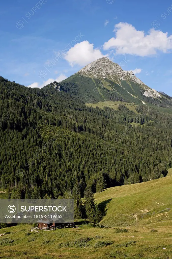 Austria, Upper Austria, View of Ochsenwaldalm Alp and Grober Pyhrgas