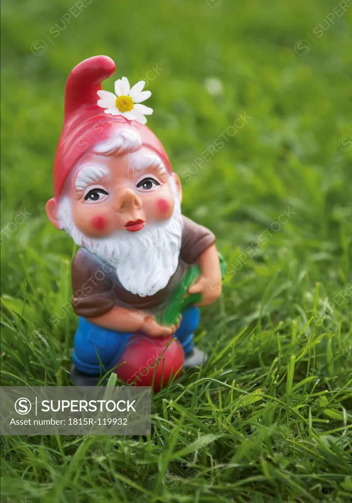 Garden gnome in meadow, close up